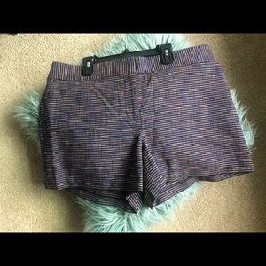 Ann Taylor Riviera shorts
